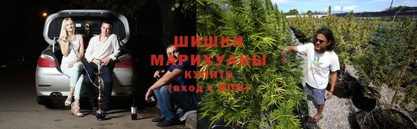 бутират Краснослободск