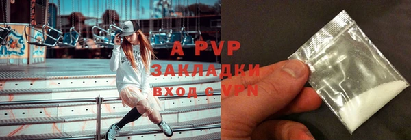 гидра Кодинск
